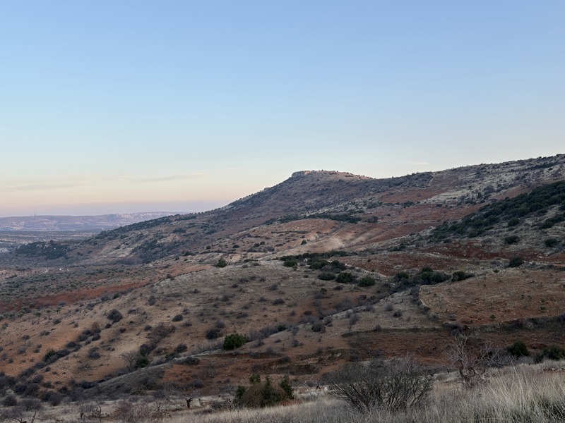 GAZİANTEP NİZİP'DE 53.004 M2 SATILIK FISTIK BAHÇESİ